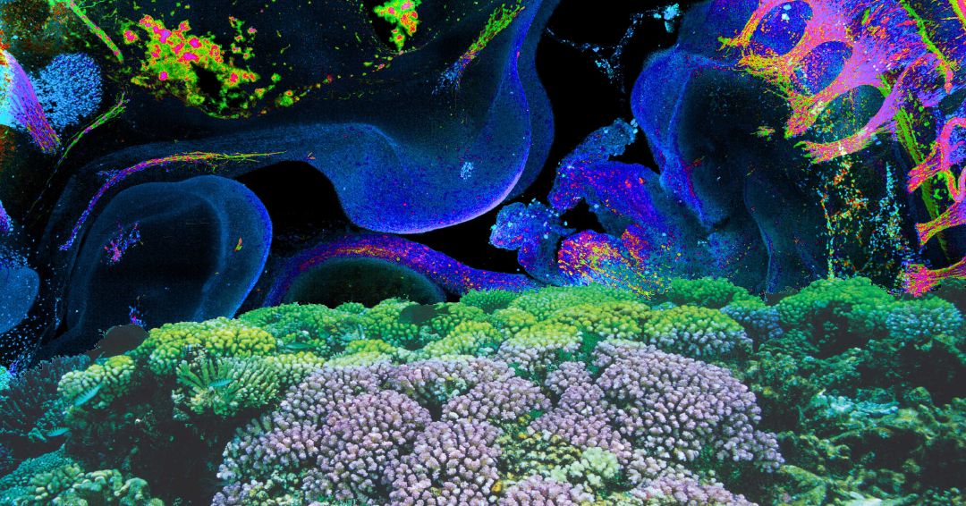 Master Sciences du Vivant - M2 | École Pratique des Hautes Études